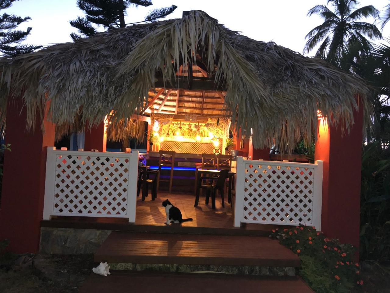 Casa Azul Las Galeras Exterior photo